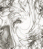 dfgxbg1177 dfgxbg1177
