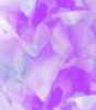 dfgxbg1205