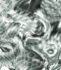 dfgxbg1254