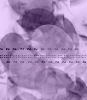 dfgxbg13
