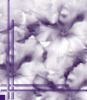 dfgxbg135