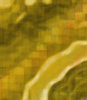 dfgxbg1361