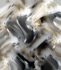dfgxbg1363