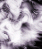 dfgxbg1375
