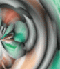 dfgxbg138