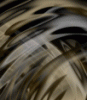 dfgxbg1386