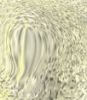dfgxbg1429 dfgxbg1429