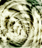 dfgxbg1485