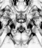dfgxbg1495