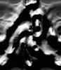 dfgxbg1503
