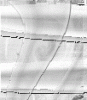 dfgxbg1510