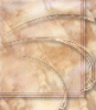 dfgxbg154