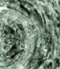 dfgxbg1594 dfgxbg1594