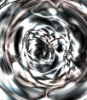 dfgxbg1611