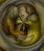 dfgxbg162