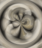 dfgxbg170