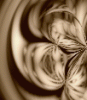 dfgxbg176