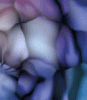 dfgxbg179 dfgxbg179