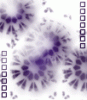 dfgxbg190