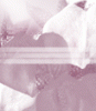 dfgxbg195