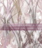 dfgxbg20