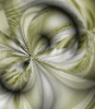 dfgxbg219
