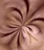 dfgxbg220
