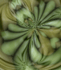 dfgxbg221