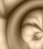 dfgxbg234