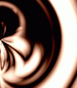 dfgxbg257