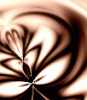 dfgxbg258