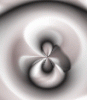 dfgxbg306