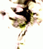 dfgxbg348 dfgxbg348