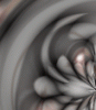 dfgxbg48 dfgxbg48