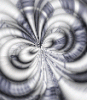 dfgxbg658