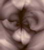 dfgxbg747