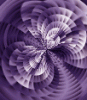 dfgxbg755
