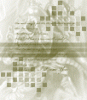 dfgxbg757
