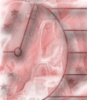 dfgxbg77 dfgxbg77
