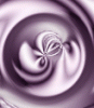 dfgxbg807