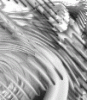 dfgxbg827