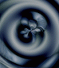 dfgxbg879