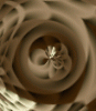 dfgxbg892 dfgxbg892
