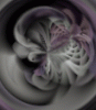 dfgxbg957