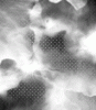 forte-iezombie-160 forte-iezombie-160