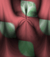 fortesbg372