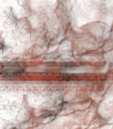 fortesbg463