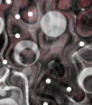 iezombie2015-heidi-bkgd-019