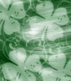 heidistpatsbgkd16 heidistpatsbgkd16