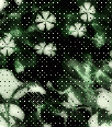 heidistpatsbgkd18